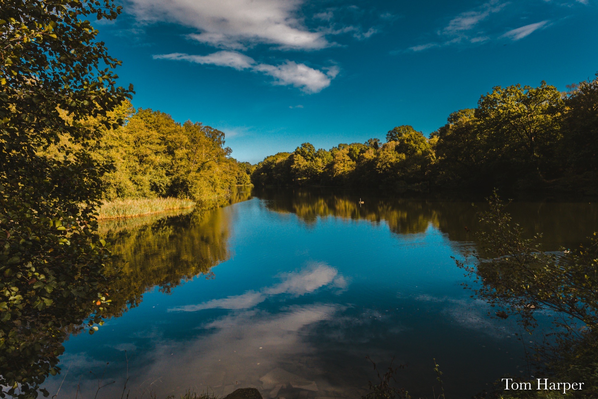 Blue sky and sunlit trees reflected in a still lake